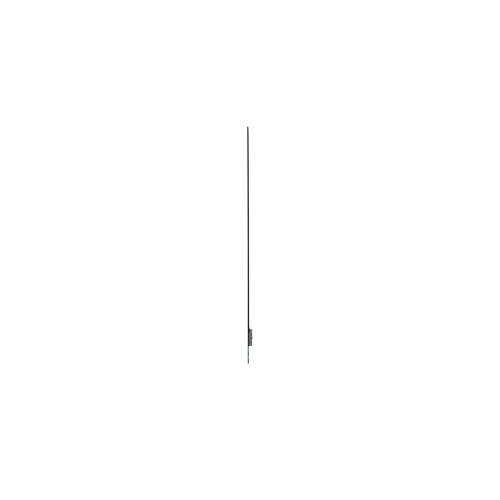 55ew5q-c-3.jpg