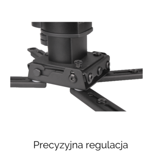 spider-elegant-2545-3-1.png