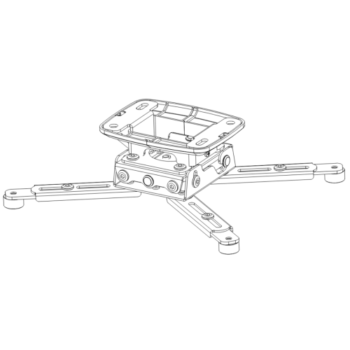 spider-elegant-8-2.png