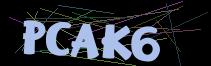 Token