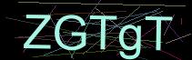 Token