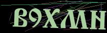 Token