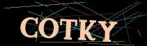 Token