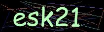 Token