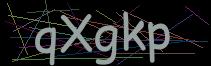 Token