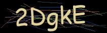 Token