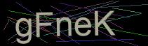 Token
