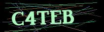 Token