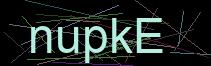 Token