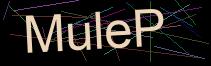 Token