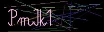 Token